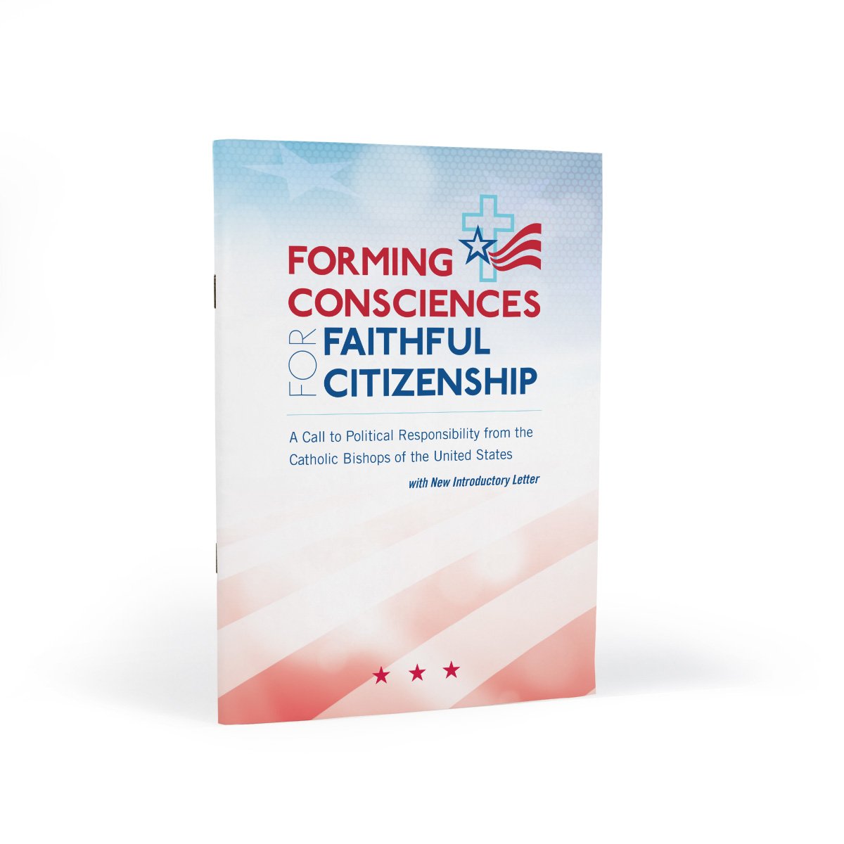 forming-consciences-for-faithful-citizenship-7-647-reference
