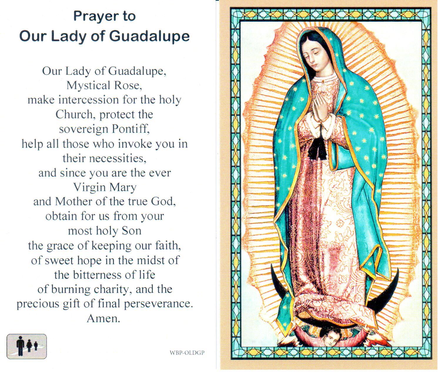Prayer Holy Card Mary Our Lady of Guadalupe Laminated