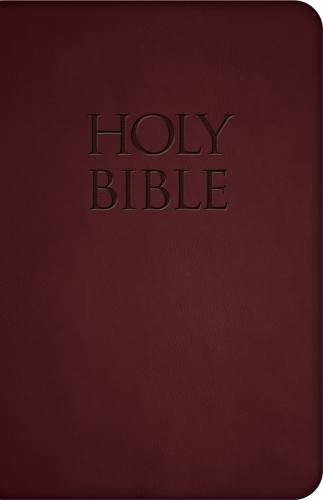 New American Bible St. Benedict Press Ultrasoft Red